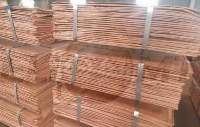 Copper Cathodes