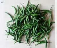 Fresh Green Chilli - Premium Export Quality