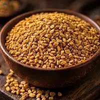 Premium Indian Fenugreek Seeds for Export