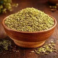 Premium Indian Fennel Seeds for Export