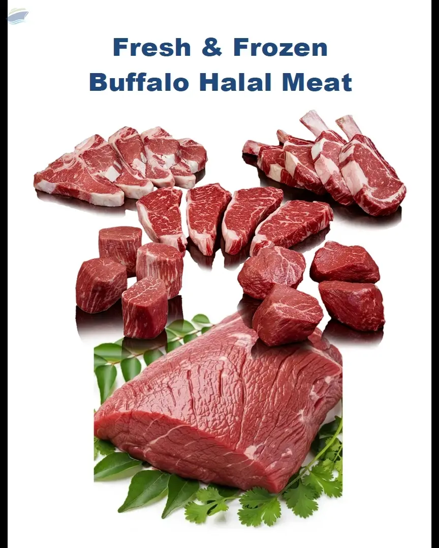 Premium Halal Buffalo Meat From India