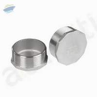 Plugs