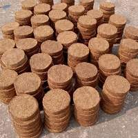 Cow Dung Cakes
