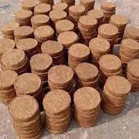Cow Dung Cakes