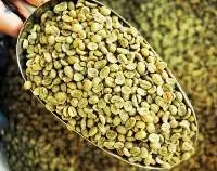 Green Coffee Beans Moc Phuong Agrico
