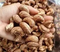 Premium Quality Cashew Moc Phuong Agrico