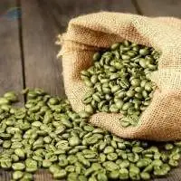 Premium Quality Green Robusta Coffee Beans