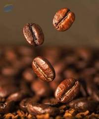 Premium Arabica Coffee Beans for Bulk