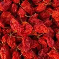 Bhut Jolokia Chilli