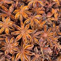 Autumn Crop Star Anise