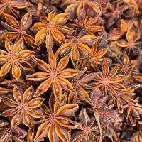 Autumn Crop Star Anise
