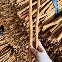 Cassia Sticks