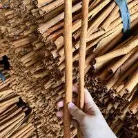 Cassia Sticks