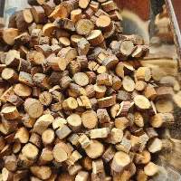 Cut Cassia Branch