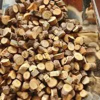 Cut Cassia Branch