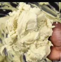 Export Grade Handcrafted Raw Shea Butter