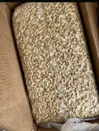 Export Quality Cashew Kernels