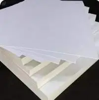 Premium Packaging Paperboard