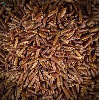 Organic Rice  ( Basmati And Non Basmati Rice)