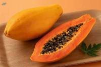 Premium Fresh Export Quality Papayas