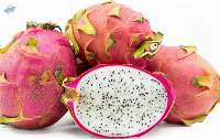Fresh  Export  Quality  Dragon  Fruit