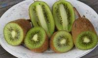 Premium Export Grade Fresh Green Kiwi