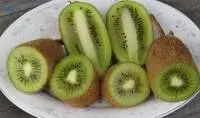 Premium Export Grade Fresh Green Kiwi