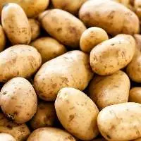 Premium Fresh Table Potatoes Export Quality