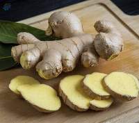 Premium Fresh Ginger Roots Export Quality