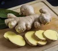 Premium Fresh Ginger Roots Export Quality