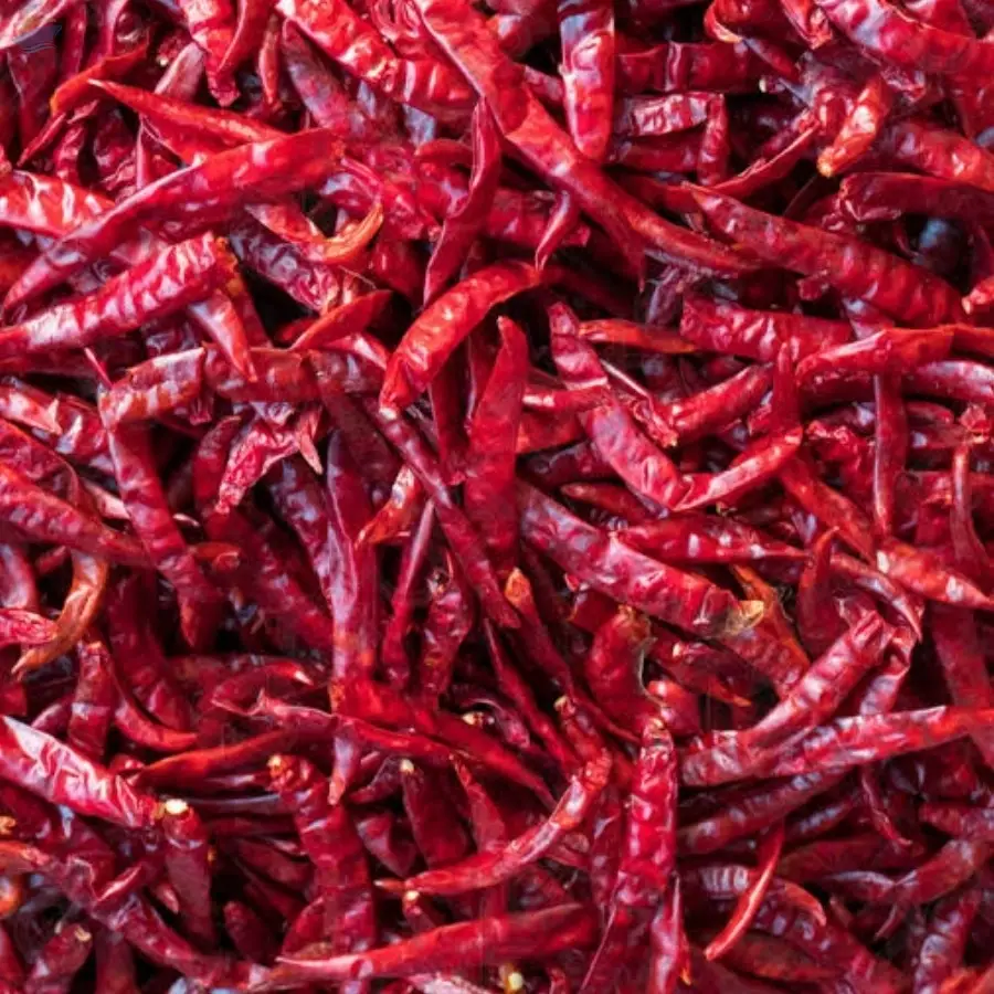 Premium Dried Red Chilli Export Quality