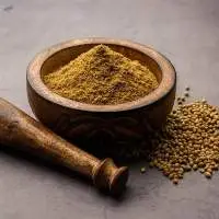 Premium Coriander Powder Spice Export Quality