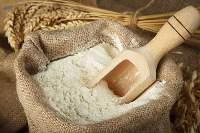 Export Quality Premium Wheat Flour Powder
