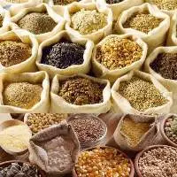 Premium Organic Millet Grain Export Quality