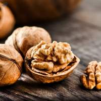 Premium Walnut Kernels Export Quality