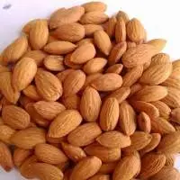 Premium Almond Kernels Export Quality
