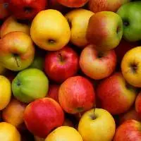 Premium Quality, Organic Fresh Apple