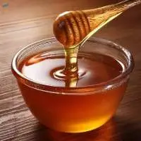 Premium Quality Organic Honey Export Grade