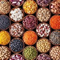 Premium Quality, Organic Products Pulses