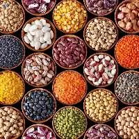 Premium Quality, Organic Products Pulses