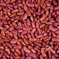 Premium Organic Quality Kidney Beans