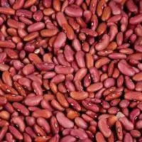 Premium Organic Quality Kidney Beans