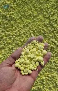 Granular Sulphur From Kazakhstan