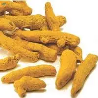 Premium Export Grade Turmeric Finger