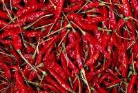 Premium Quality Dried Red Chili (Whole)   