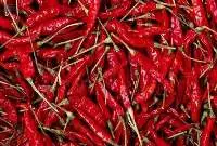 Premium Quality Dried Red Chili (Whole)   