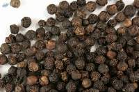Premium Export Grade Whole Black Pepper