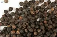 Premium Export Grade Whole Black Pepper