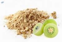 Premium Export Grade Herbal Amla Powder