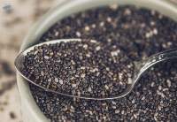 Export Grade Premium Quality Chia Seeds